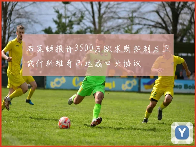布莱顿报价3500万欧求购热刺后卫武什科维奇已达成口头协议