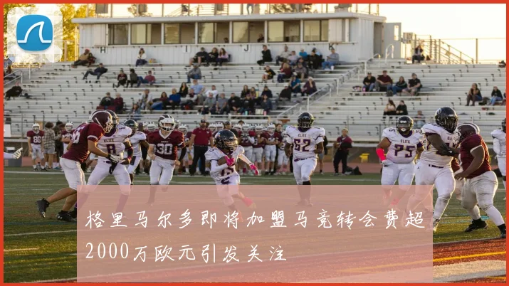 格里马尔多即将加盟马竞转会费超2000万欧元引发关注